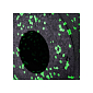Masážny valec SPRINGOS CROSSFIT čierno-zelený