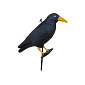 Plašič ptáků a holubů - Havran sedící se žlutým zobákem 39 cm, černo-modrý SPRINGOS GA0131