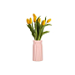 Váza na kvety 18 cm ružová SPRINGOS INSPIRA
