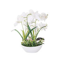 Umělá Orchidej s květy 45 cm bílá, 24 květů