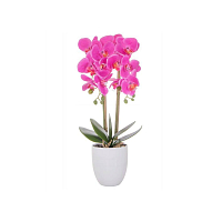 Umělá Orchidej s květy 55 cm růžová, 12 květů