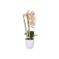 Umělá Orchidej s květy 55 cm bílo-růžová, 12 květů