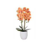 Umělá Orchidej s květy 55 cm oranžová, 12 květů