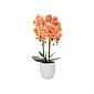 Umělá Orchidej s květy 55 cm oranžová, 12 květů