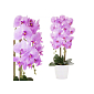 Umelá Orchidea s kvetmi 70 cm fialová, 16 kvetov