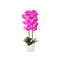 Umělá Orchidej s květy 70 cm růžová, 16 květů