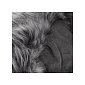 Zimní fusak s kožíškem 4v1 SPRINGOS MAXI tmavě šedý