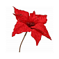 Vánoční hvězda na stonku 26x23 cm, červená