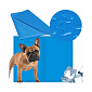 Chladiaca podložka pre psa 50x40 cm, modrá SPRINGOS CHILL