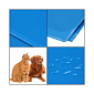 Chladiaca podložka pre psa 65x50 cm, modrá SPRINGOS CHILL
