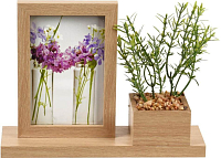 HOMESTYLING Fotorámeček stolní dekorativní s umělou rostlinou 25 x 19 cm KO-C37890600