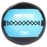 Wall Ball posilovací míč