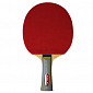 Pingpongová pálka inSPORTline 2 Star Table Tennis Racket