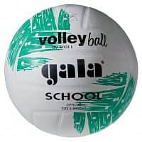 BV5031L School volejbalový míč