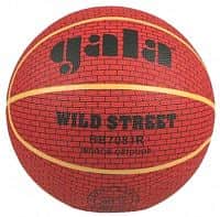 Wild Street BB7081R basketbalový míč