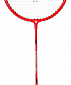 Focus 10 badmintonová raketa