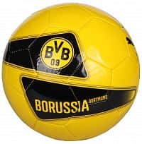 Borussia Dortmund evoSPEED 5.4 Graphic fotbalový míč