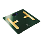BERLINGERHAUS Osobní váha Smart s tělesnou analýzou 150 kg Emerald Collection BH-9108