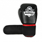 Boxerské rukavice BUSHIDO ARB-407