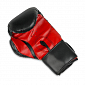 Boxerské rukavice BUSHIDO ARB-407