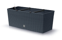 Truhlík RATO CASE 50 cm - barva: antracit