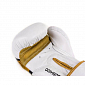 Boxerské rukavice DBX BUSHIDO DBD-B-2 v1