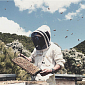 RAW Manuka Honey UMF24+ (1122+ MGO) 225g