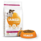 Krmivo IAMS Dog Senior Small & Medium Chicken 3kg