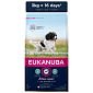 Krmivo EUKANUBA Adult Medium 3kg