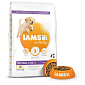 Krmivo IAMS Dog Puppy Large Chicken 12kg