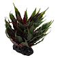 Dekorace Repti Planet Rostlina sukulent Agave zelená 18cm