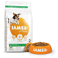 Krmivo IAMS Dog Adult Small & Medium Lamb 3kg