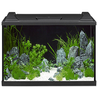 Akvarijní set Eheim Aquapro LED černý 60x40x35cm 84l