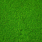 Písek Aqua Excellent svítivě zelený 1,6-2,2mm 1kg