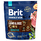 Krmivo Brit Premium by Nature Sensitive Lamb 1kg