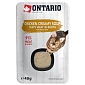 Polévka Ontario kuře se sýrem 40g