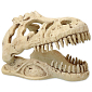 Dekorace Repti Planet T-REX lebka 13,3x8,5x9cm