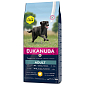 Krmivo EUKANUBA Adult Large 15+3kg ZDARMA