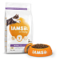 Krmivo IAMS Cat Kitten Chicken 2kg