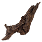 Dekorace Repti Planet Kořen DriftWood Bulk L 35-55cm