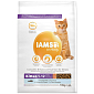 Krmivo IAMS Cat Kitten Ocean Fish 10kg