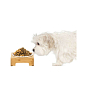 Keramická miska se stojanem 14 cm pro psa / kočku SPRINGOS MAU