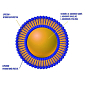 Liposomal Vitamin C 500 mg 100 ml pomeranč (Lipozomální vitamín C)