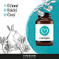 Ginkgo Biloba Tincture 50ml Organic