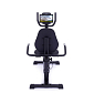 TRINFIT Recumbent Vivo B250