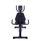 TRINFIT Recumbent Vivo B250