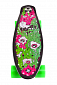 Skateboard Street Surfing FUEL BOARD Melting - artist series