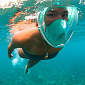 Potápěcí celoobličejová maska/brýle se šnorchlem FREEBREATH - Velikost S/M - Bez adaptéru GoPro
