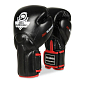 Boxerské rukavice DBX BUSHIDO BB2