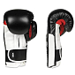 Boxerské rukavice DBX BUSHIDO B-3W